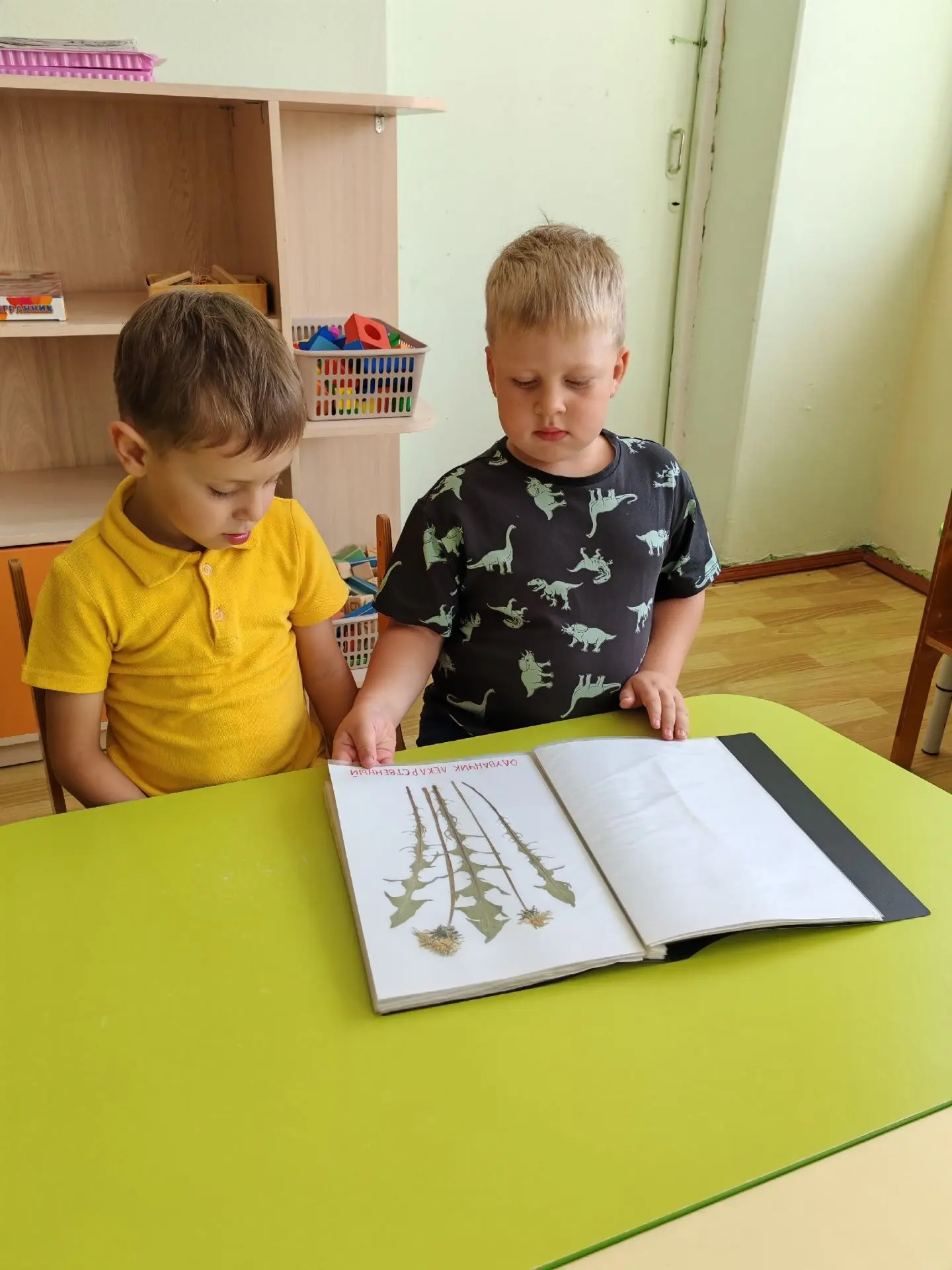 Тематическая неделя "Животный и растительный мир Архангельской области" прошла в тёплой, творческой 