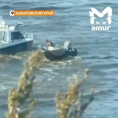 🚨 Выжил под винтами: рыбаку из Хабаровского края зашили голову