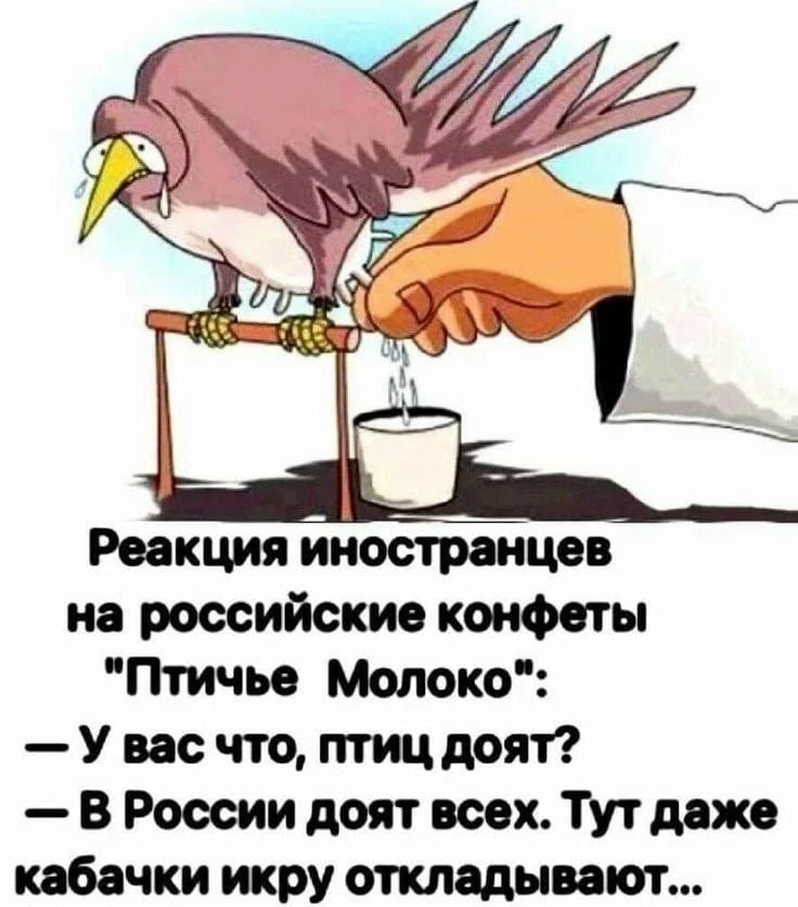 Смешно?😃 Жми лайк, пока не забыл. А подписка — чтобы не потерять того, кто поднимает тебе настроени