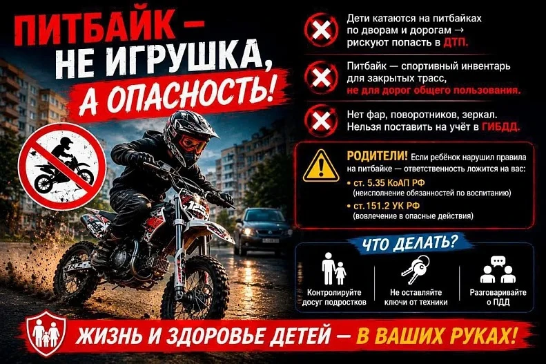 🏍️ Питбайк — это мощный спортивный инвентарь, способный разгоняться до 100–120 км/ч, а...