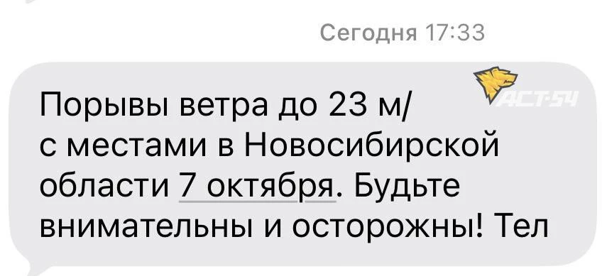 МЧС предупредило о сильном ветре 7 октября