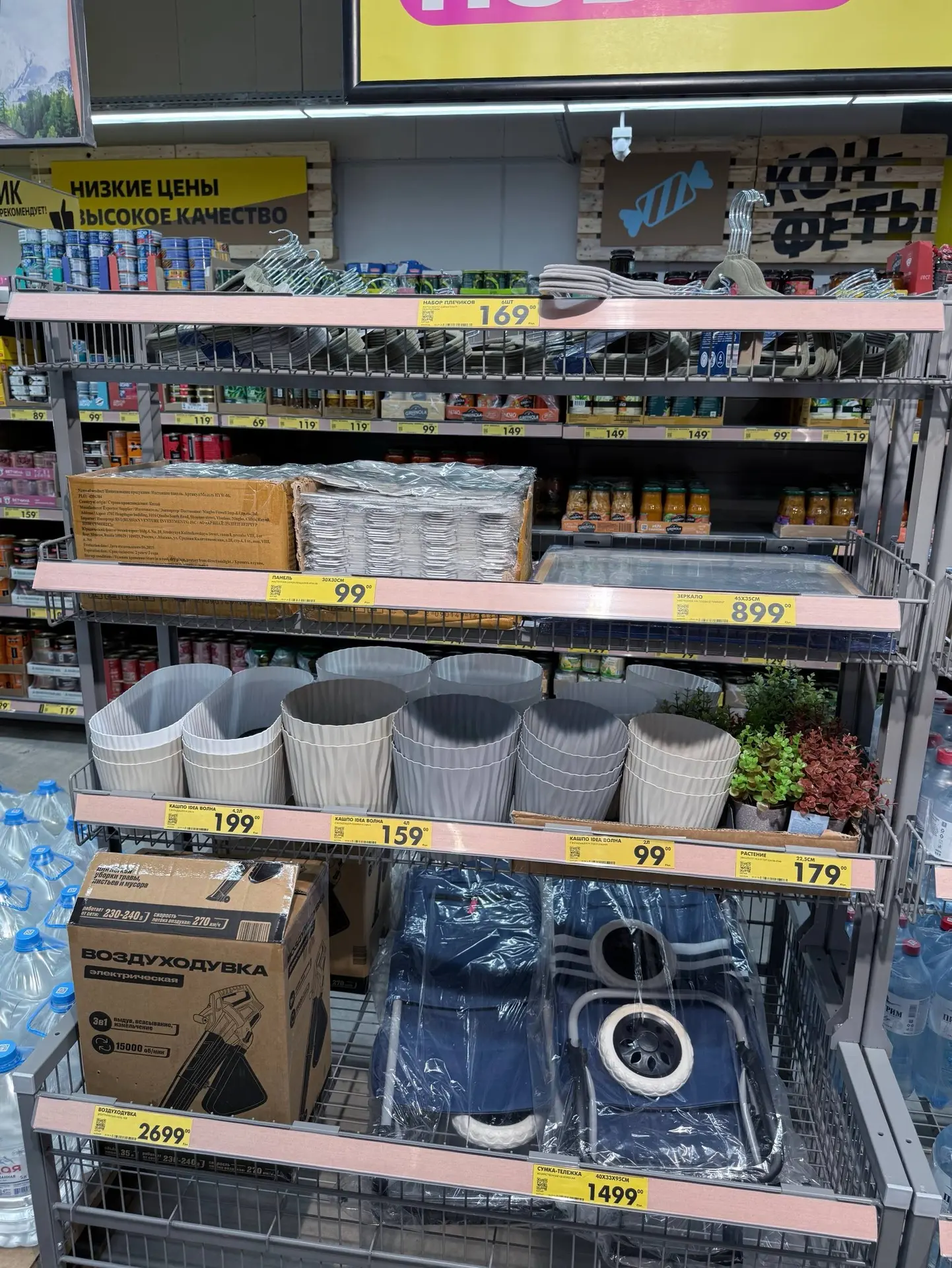 ЧИЖИК 💛