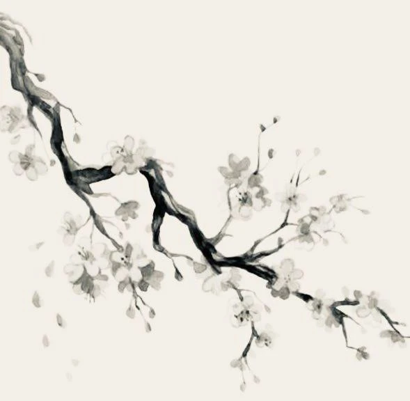 会 или 能