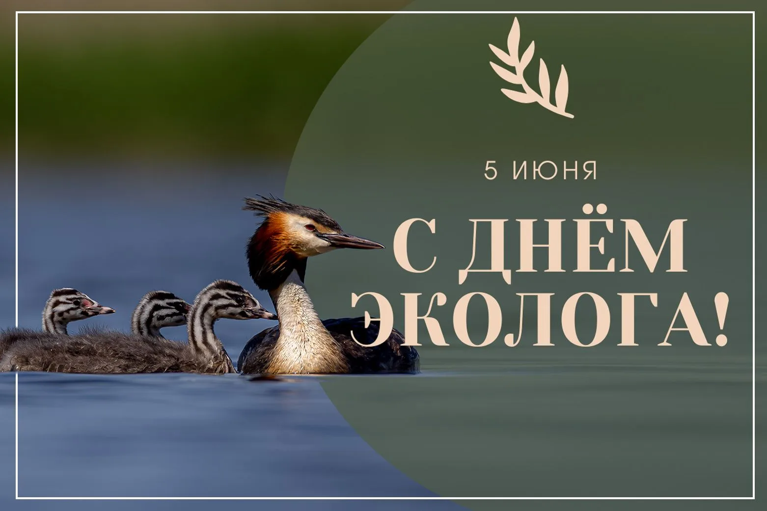 Губернатор Липецкой области Игорь Артамонов и председатель Липецкого областного Совета ...