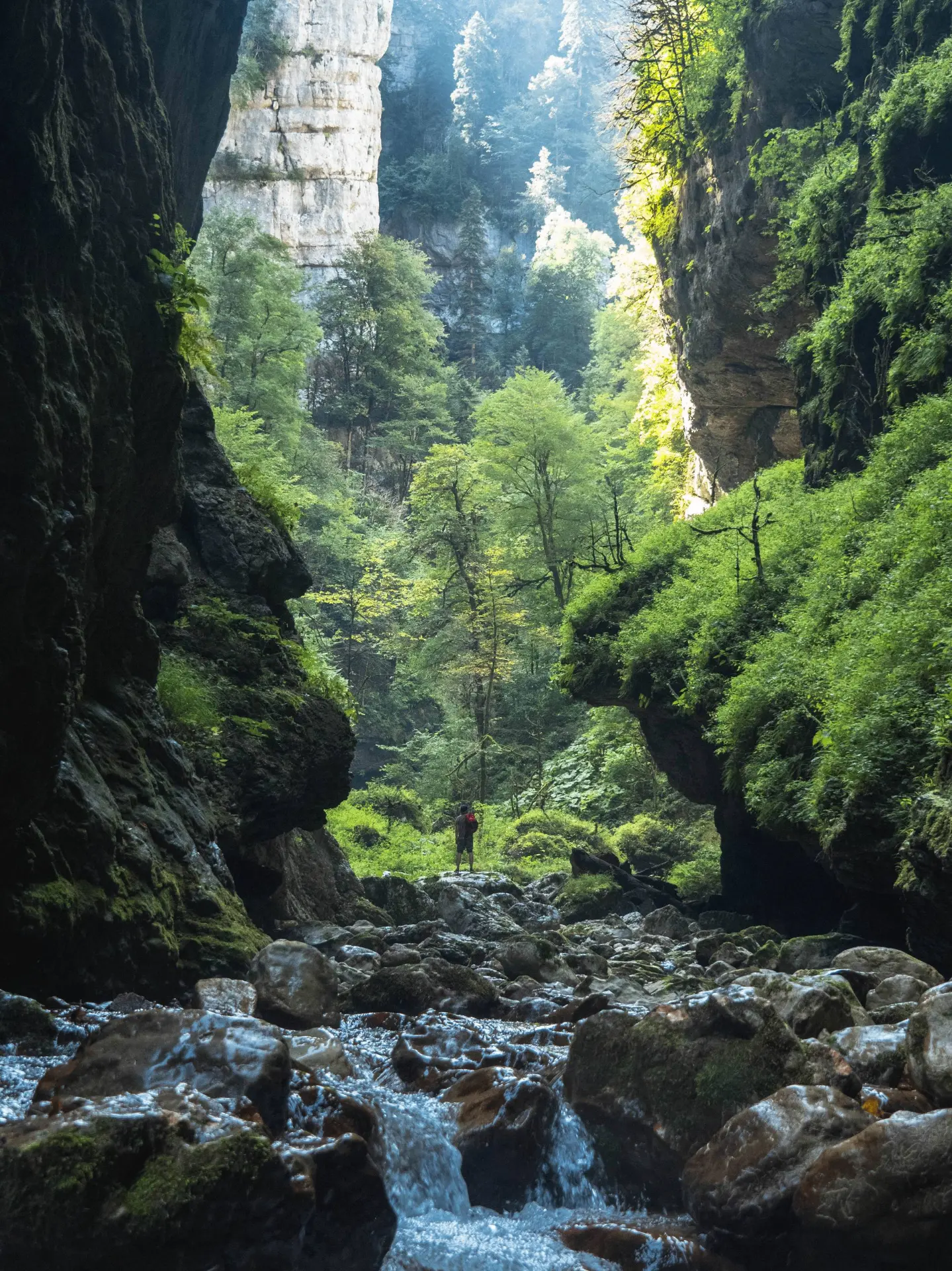 🌿 Ущелье Сухой Балки находится всего в 2.5 часах от Краснодара