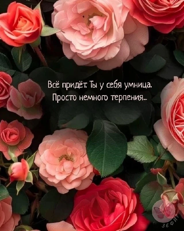 Открытки: подписаться ❤️