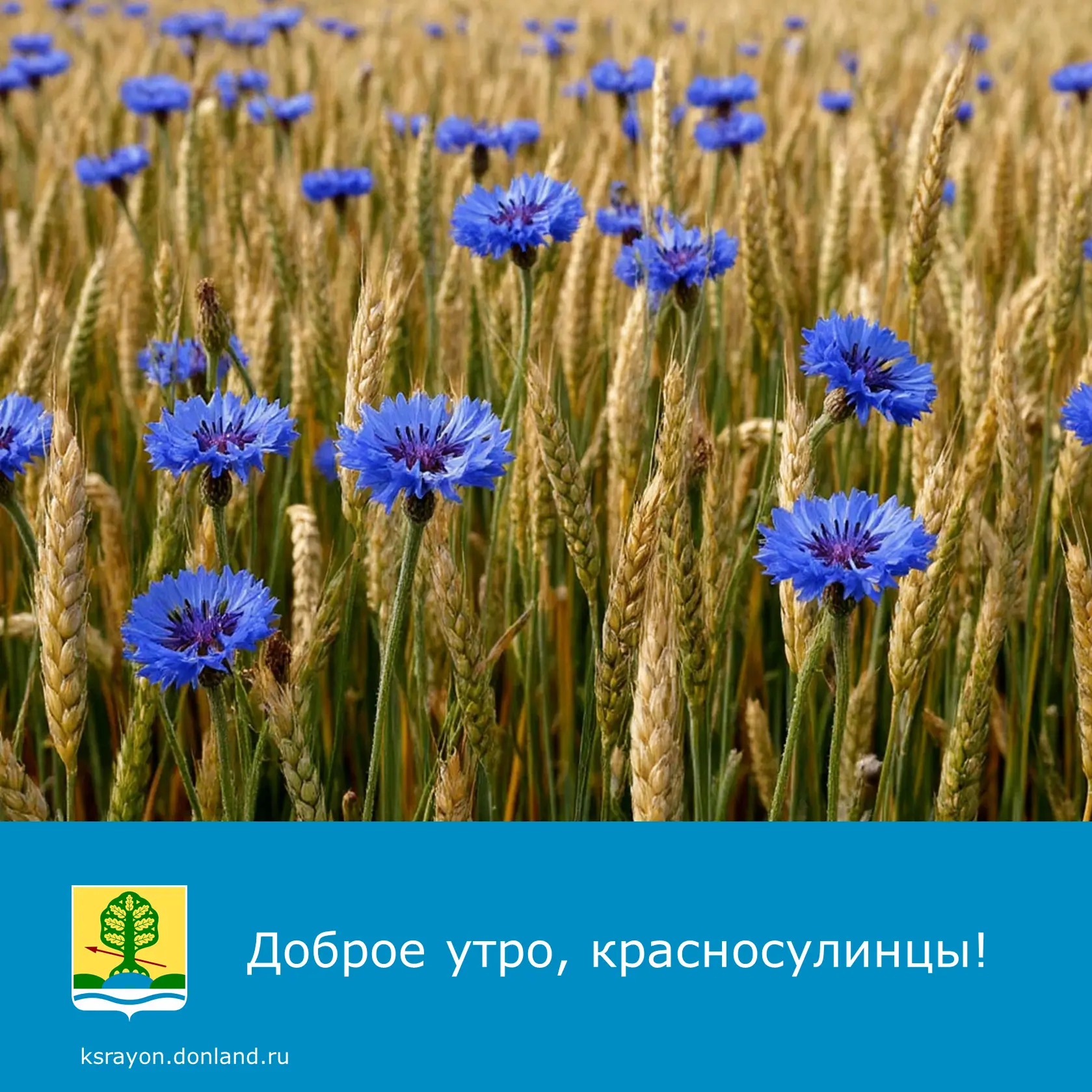 Доброе утро! На календаре 24 августа.