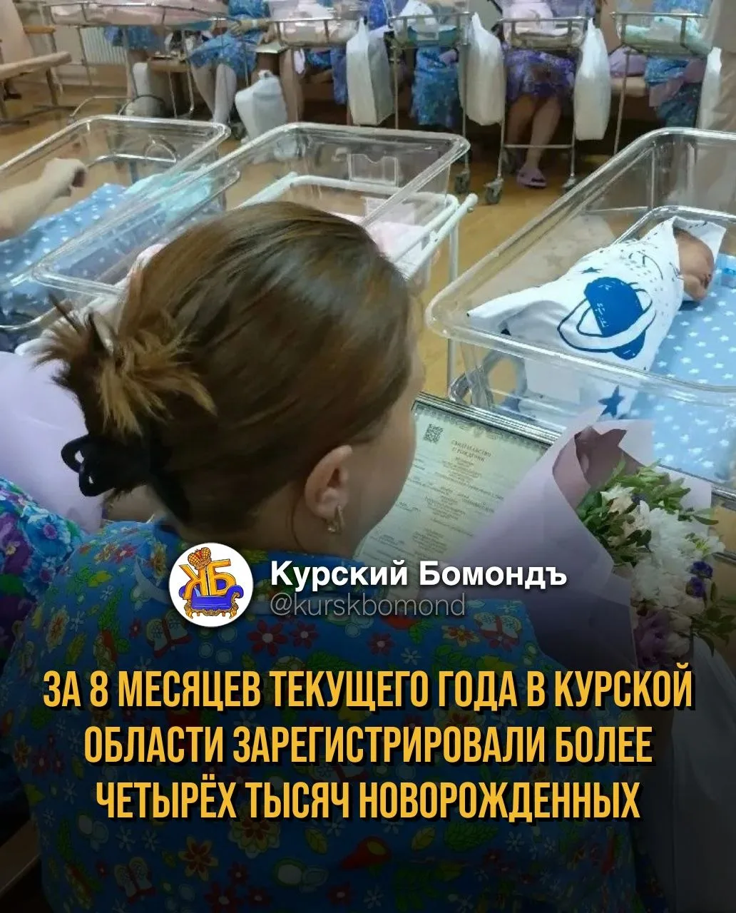 За 8 месяцев текущего года в Курской области зарегистрировали более четырёх тысяч новор...