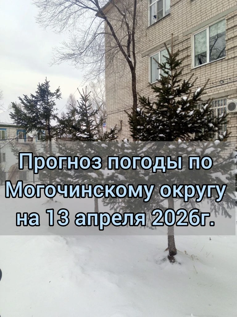 🌤️Прогноз погоды по Могочинскому округу на 13 апреля 2026 г.   ⛅️Без существенных осадков. 🌬️Ветер ю