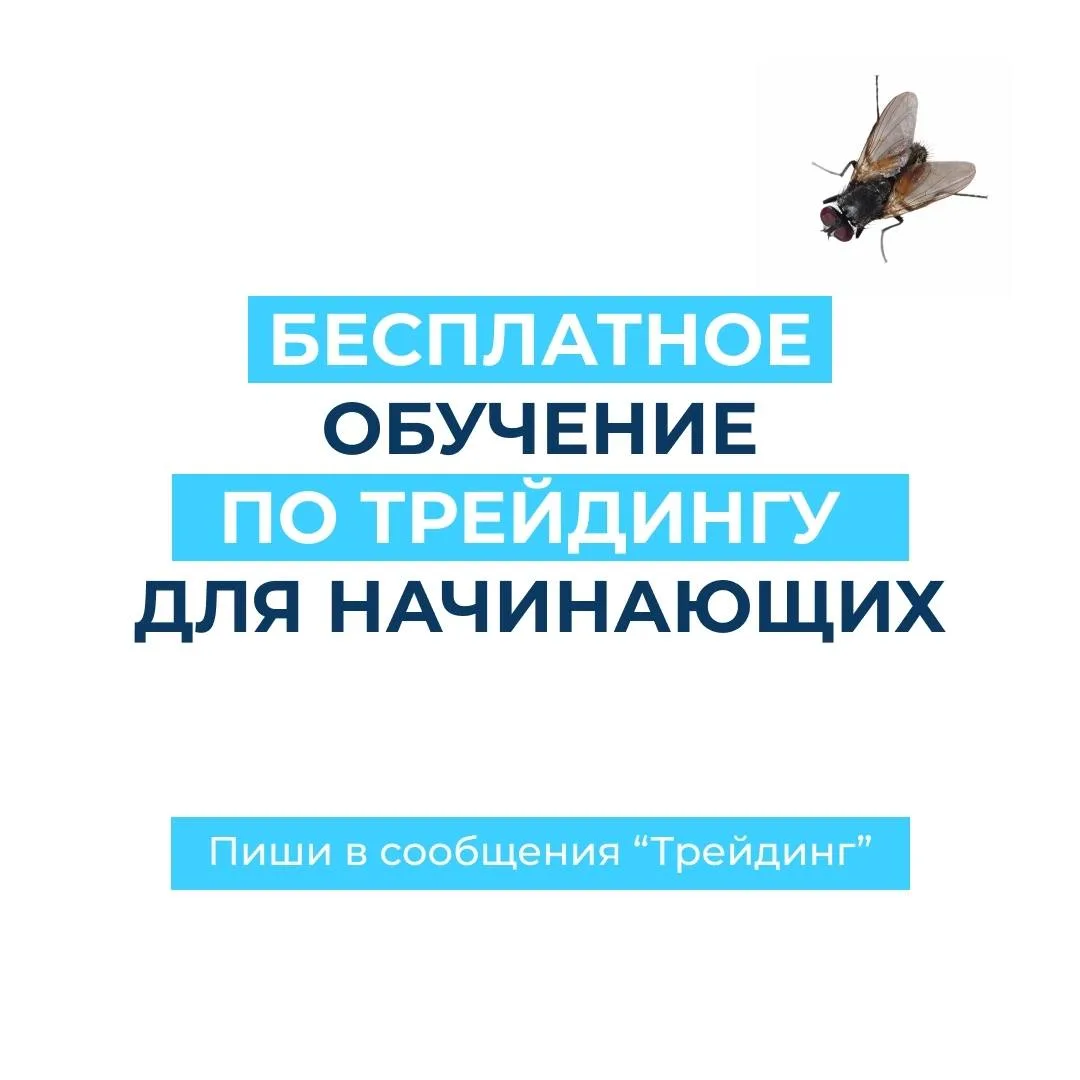 Просто топ креатив на одном из проектов по трейдингу)