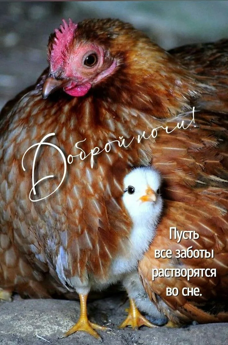 #ночь
Картинки на каждый день