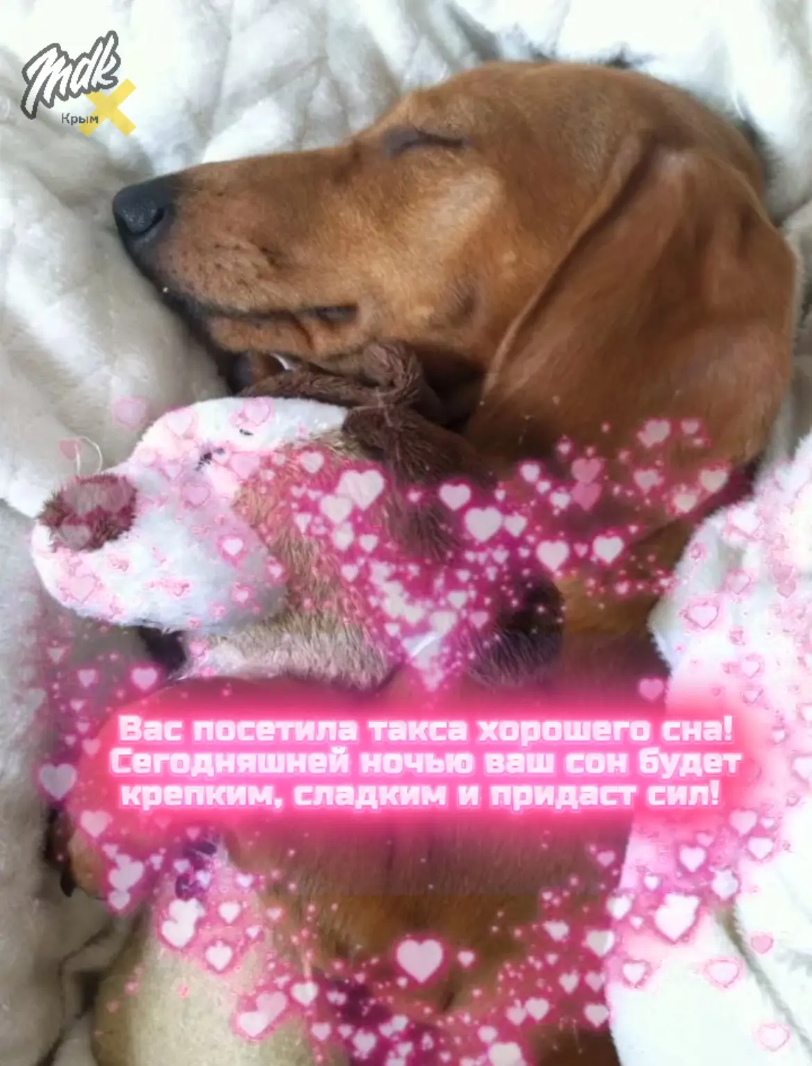 Чтобы сбылось, нужно поставить ❤️
