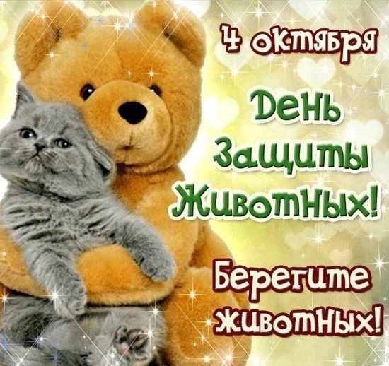 Стремись животных защищать, они ведь братья наши! Стремись чуть-чуть добрее стать, мир ...