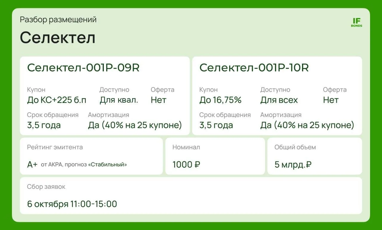 📊 IT-шники снова на первичке. Что предлагает Селектел?