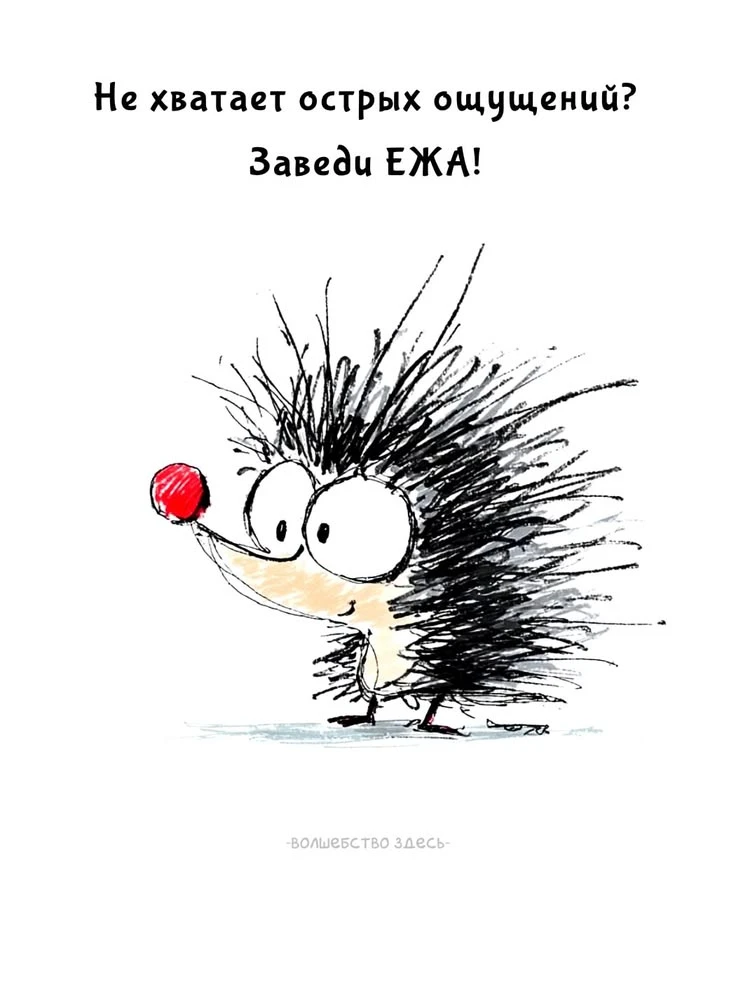 🌹Радость в Каждом Дне

🕊️Спасибо за реакции♥️