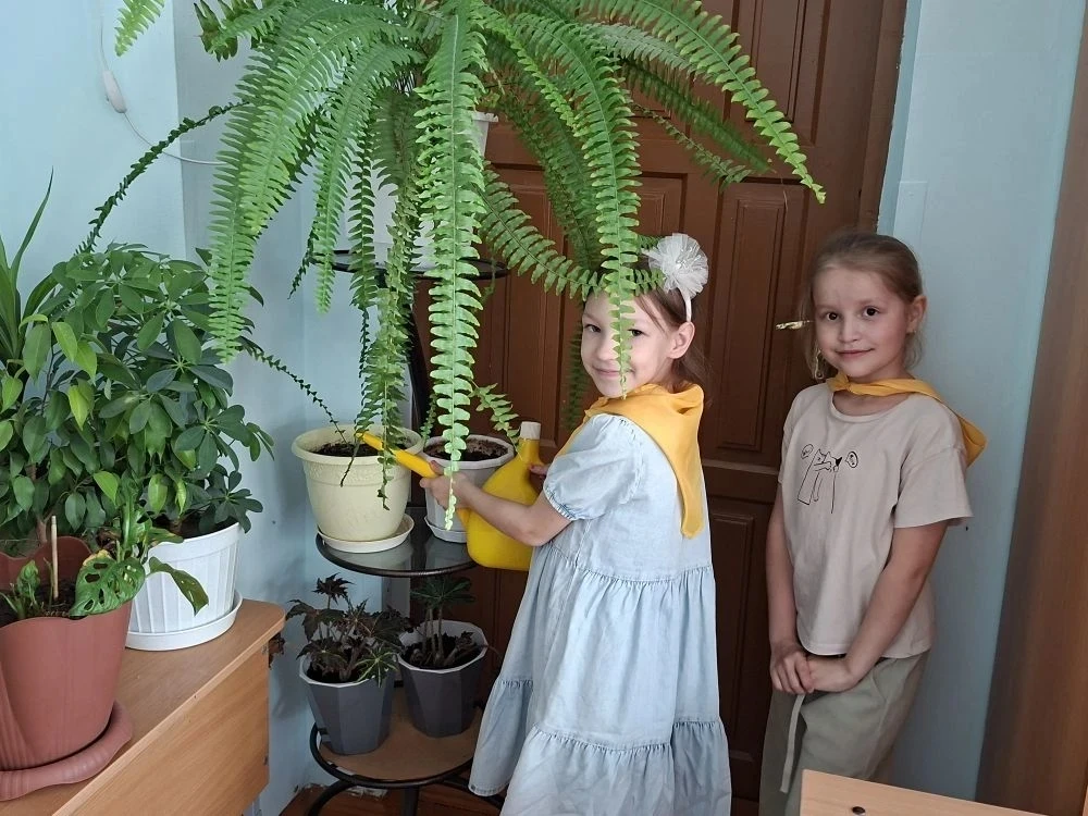 Ребята из пришкольного лагеря  на Горького 1 «Юный Тавдинец» не теряют времени даром — ...