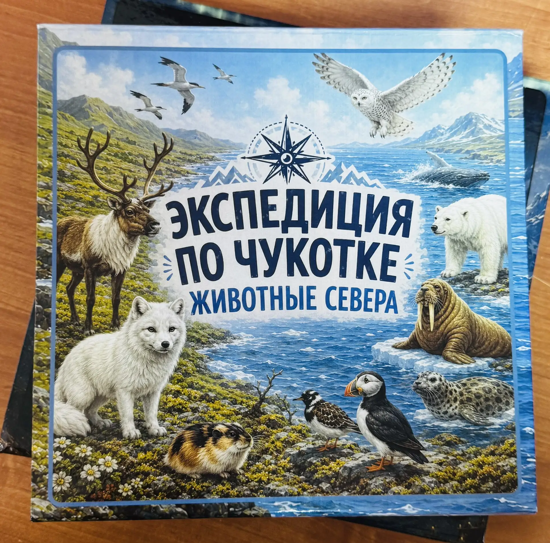 🎉 Друзья, они готовы!