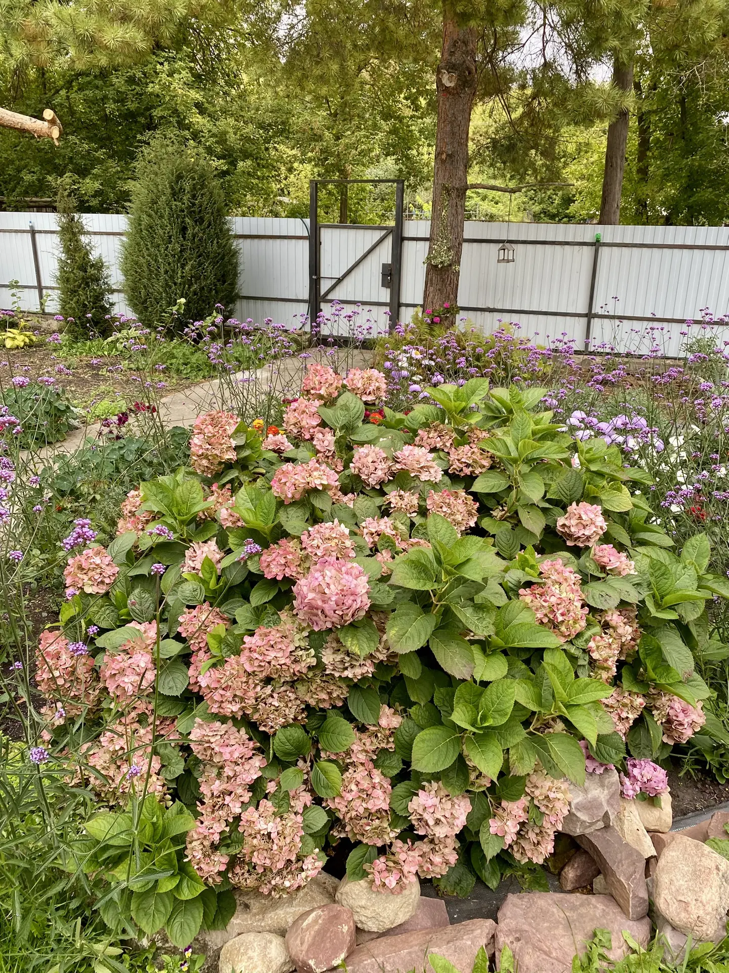 Друзья!🥰 Приветствую вас у себя на канале!💐Завтра я еду на дачу и мы с вами начнем вс...