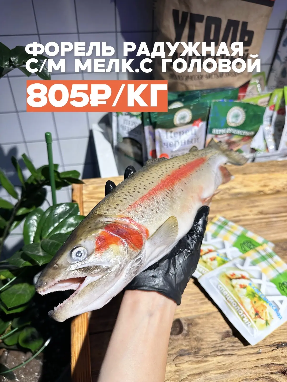 ‼️ДЕНЬ ВКУСНОЙ УХИ В F⚓️Н‼️