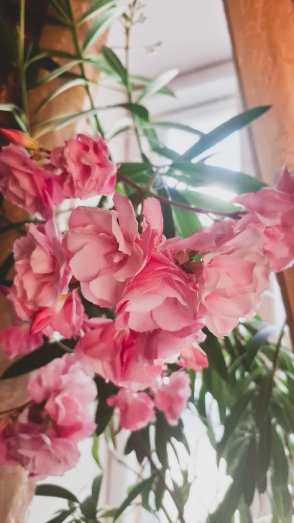 🎉 Сегодня – 215 лет со дня рождения Виссариона Григорьевича Белинского 

🌸 Аккурат к юбилею критик