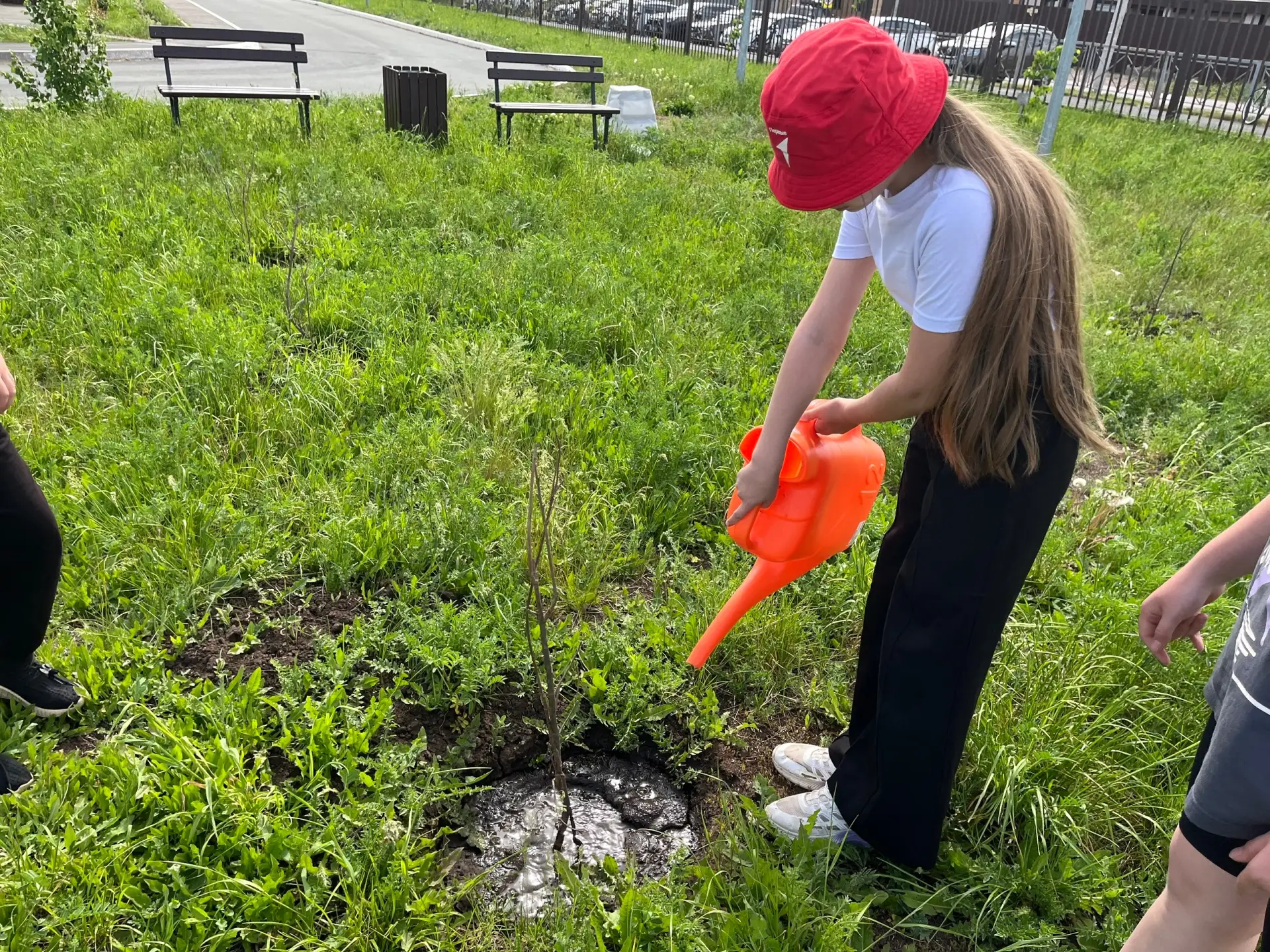 🌳Дуб - символ мужества, стойкости и силы духа. Именно дубовую аллею высадили сегодня (19 мая) школьн