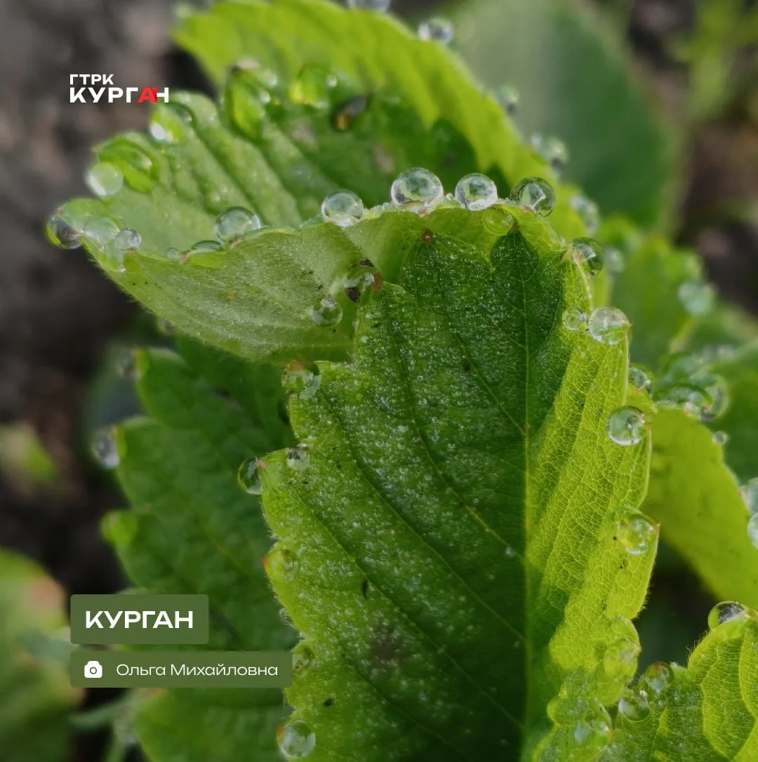 🌤 Доброе утро, зауральцы!