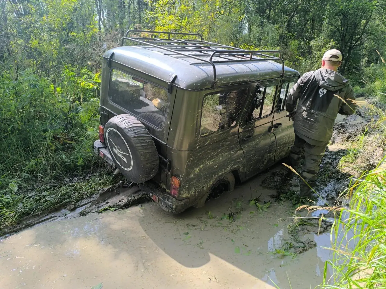 В лесничествах Кузбасса проходят усиленные рейды по охране кедровых насаждений. Лесничие вышли в тай