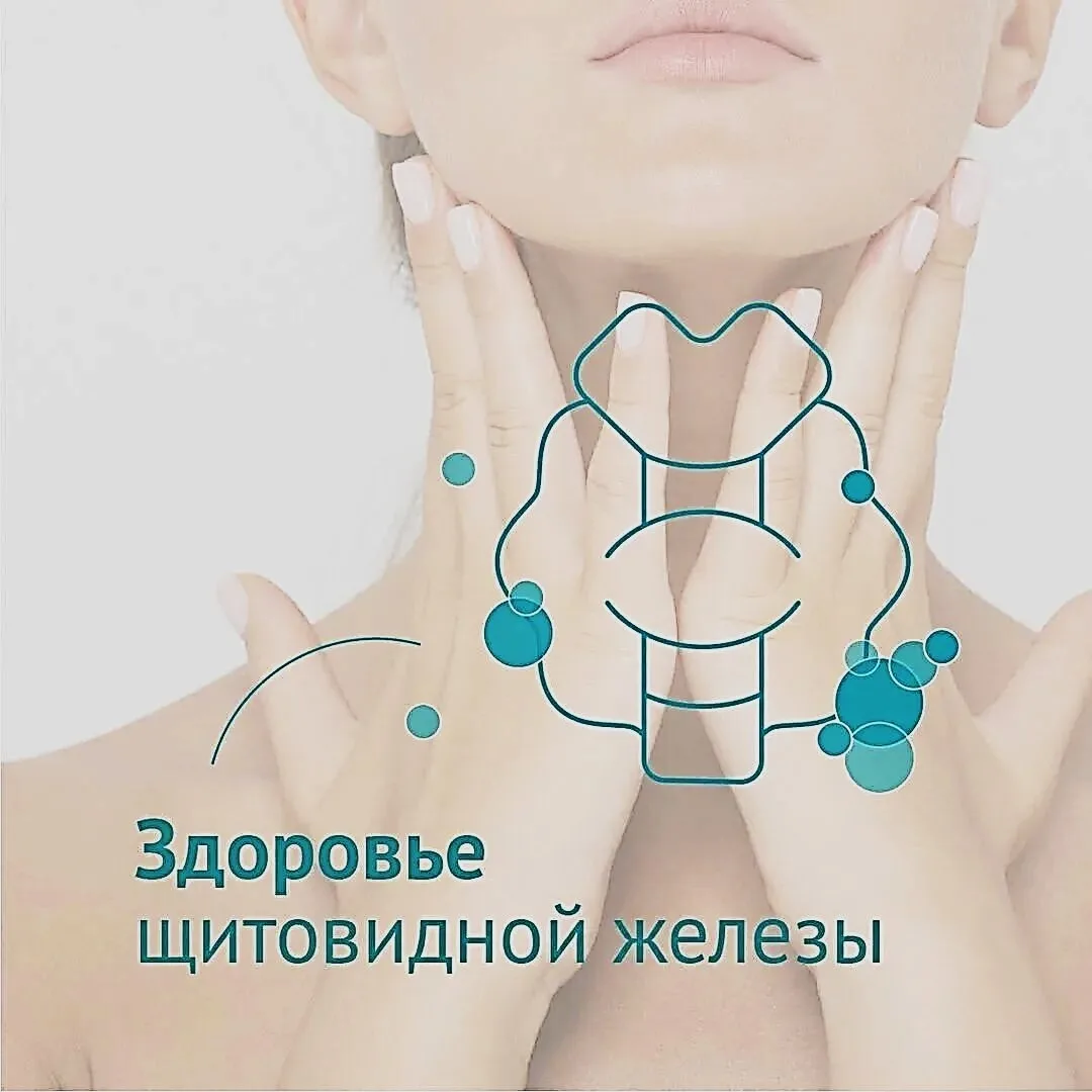 Щитовидная железа – «королева» метаболизма