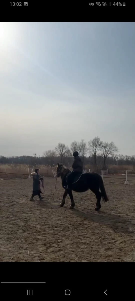 🐎Наши восьмиклассники из Курчатовского 8В класса не просто учатся, а по-настоящему погружаются в мир