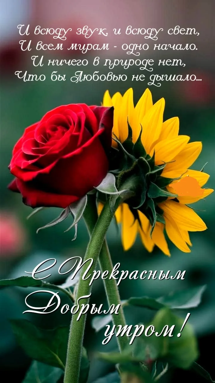 Доброе утро!🧡