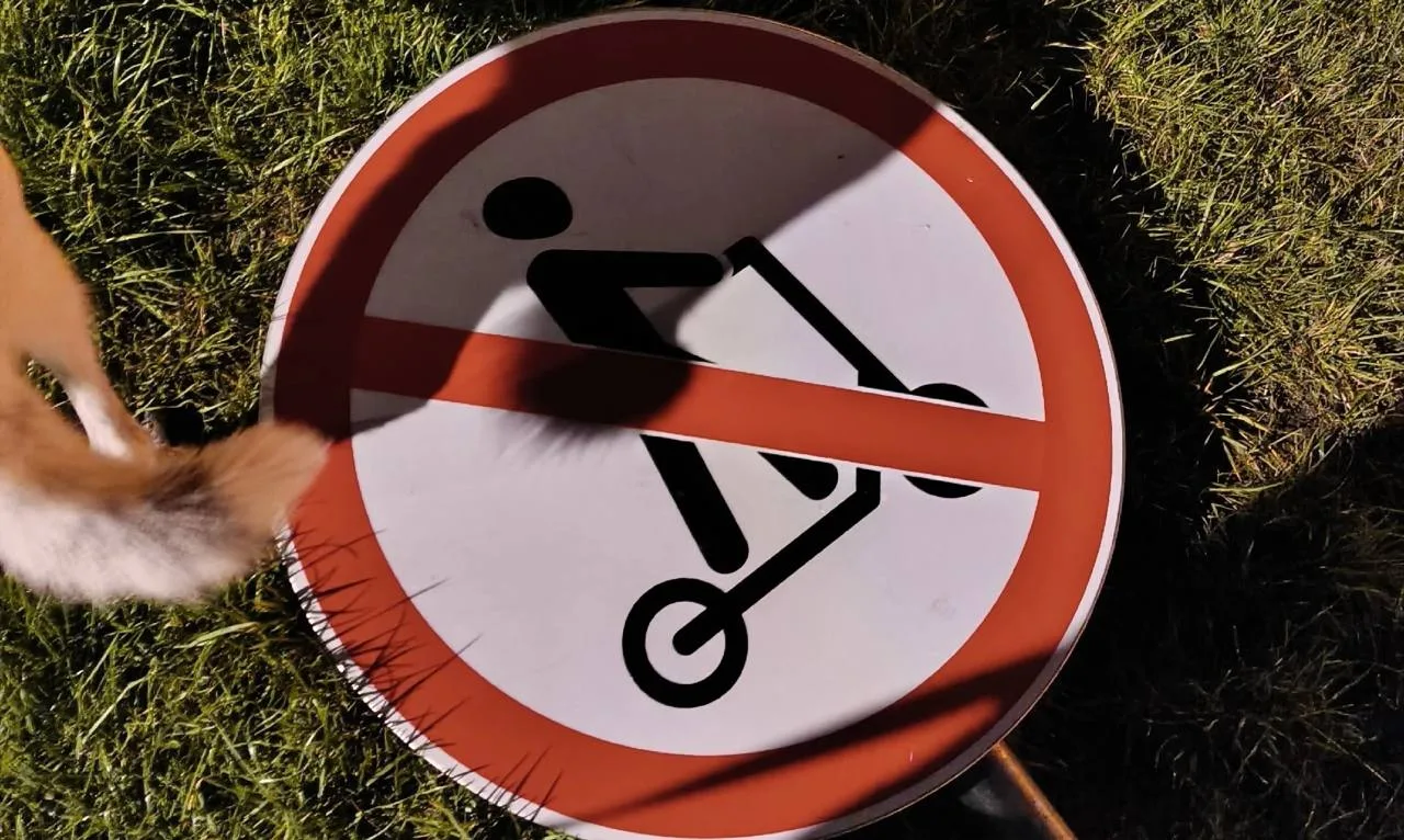 🏍 Питбайкеры достали у Беловежского пруда