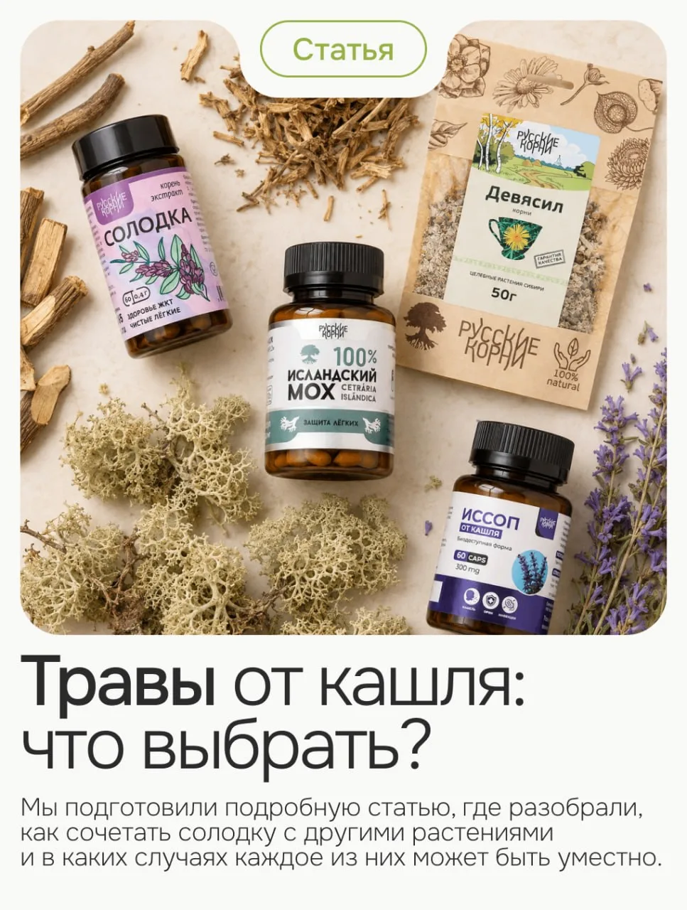 ТРАВЫ ОТ КАШЛЯ: ЧТО ВЫБРАТЬ?