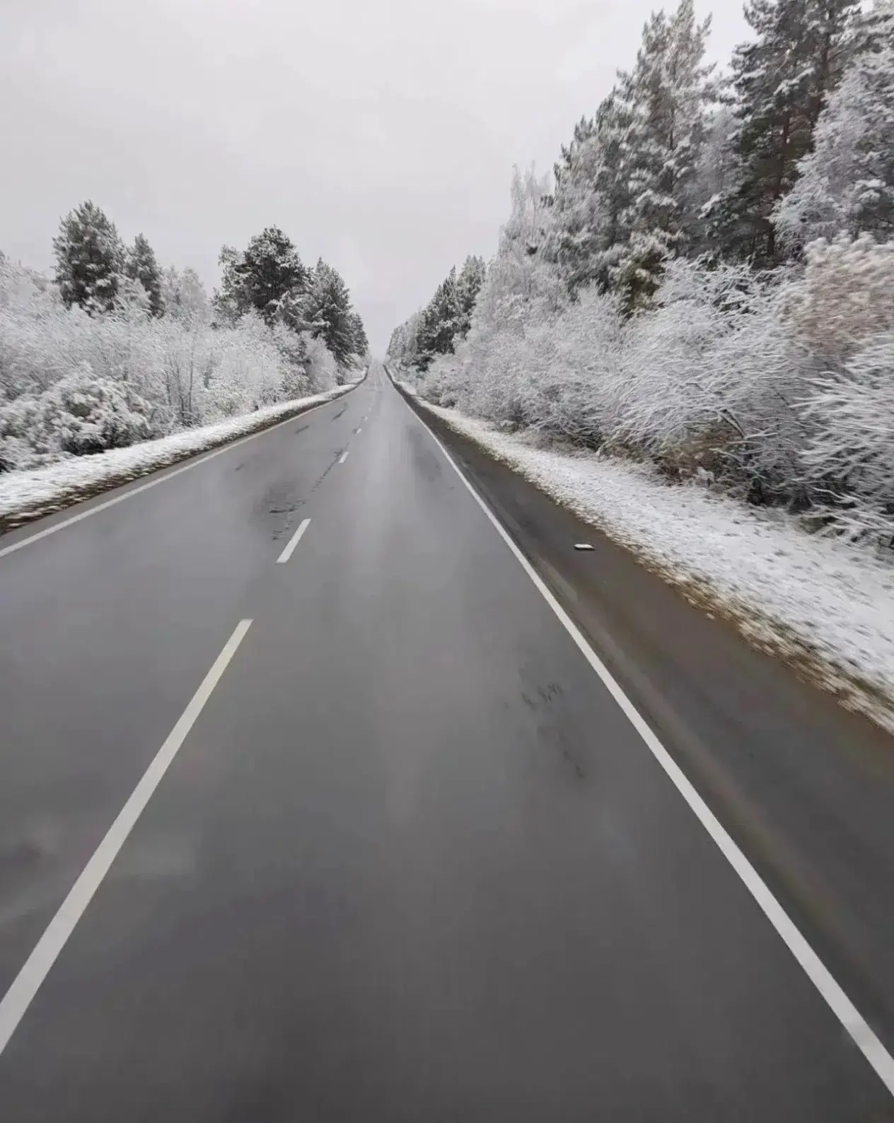 Челябинскую область заметает снегом❄️