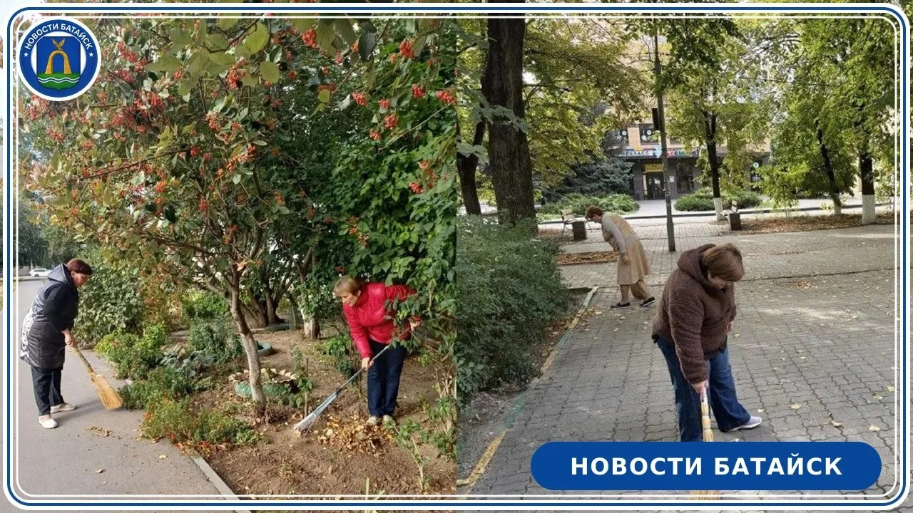 Батайские библиотекари вышли на осенний субботник