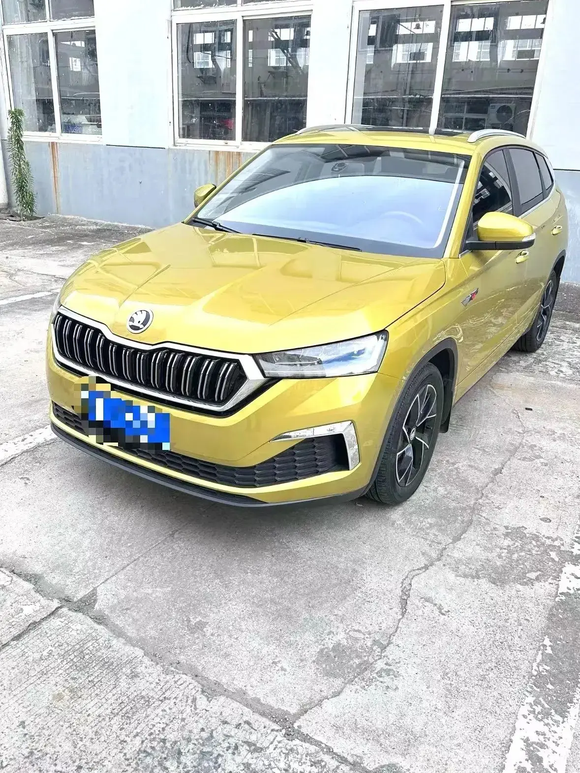✅ Skoda Kamiq