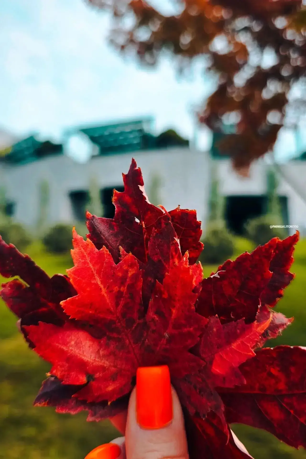🌿ОКТЯБРЬ🍁