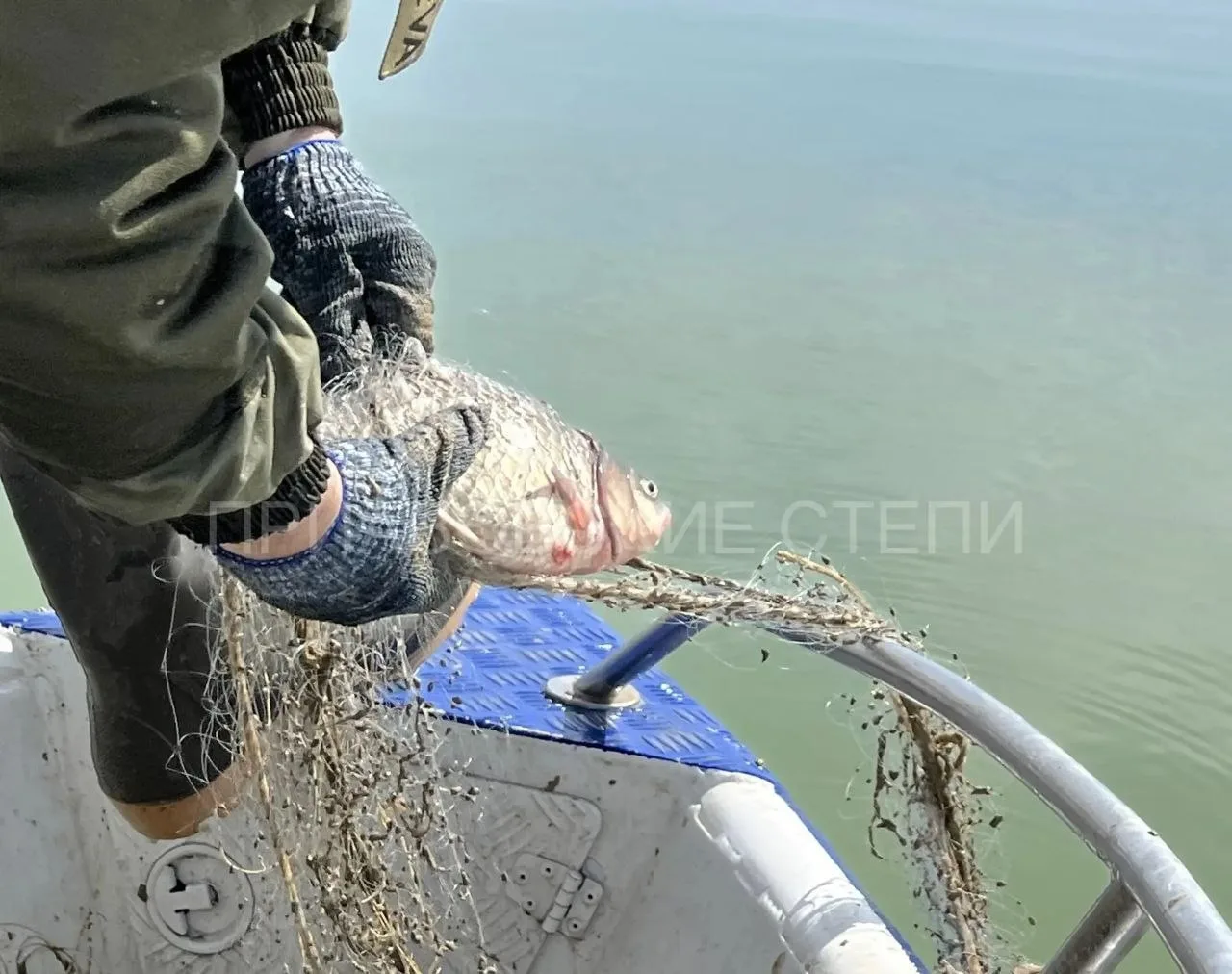 🐟В Ейском районе подвели итоги работы по охране водных биоресурсов за апрель  За месяц специалисты п