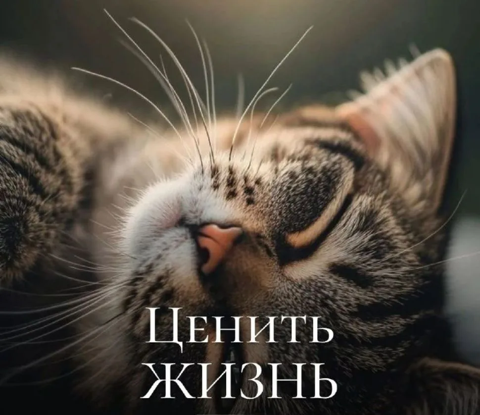 Можно найти миллион причин, чтобы быть не в духе.
