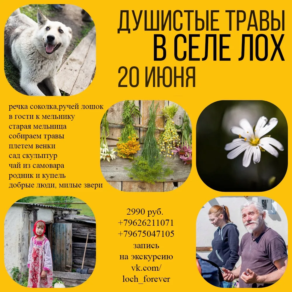 Друзья, обычно места в эко-тур за лоховскими травами разлетаются, как горячие блины на ...
