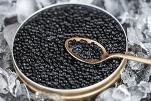 Осетровая лихорадка: вычисляем идеальный момент для покупки черной икры без ущерба для ...