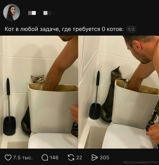 КуЗьМа в ТеМе