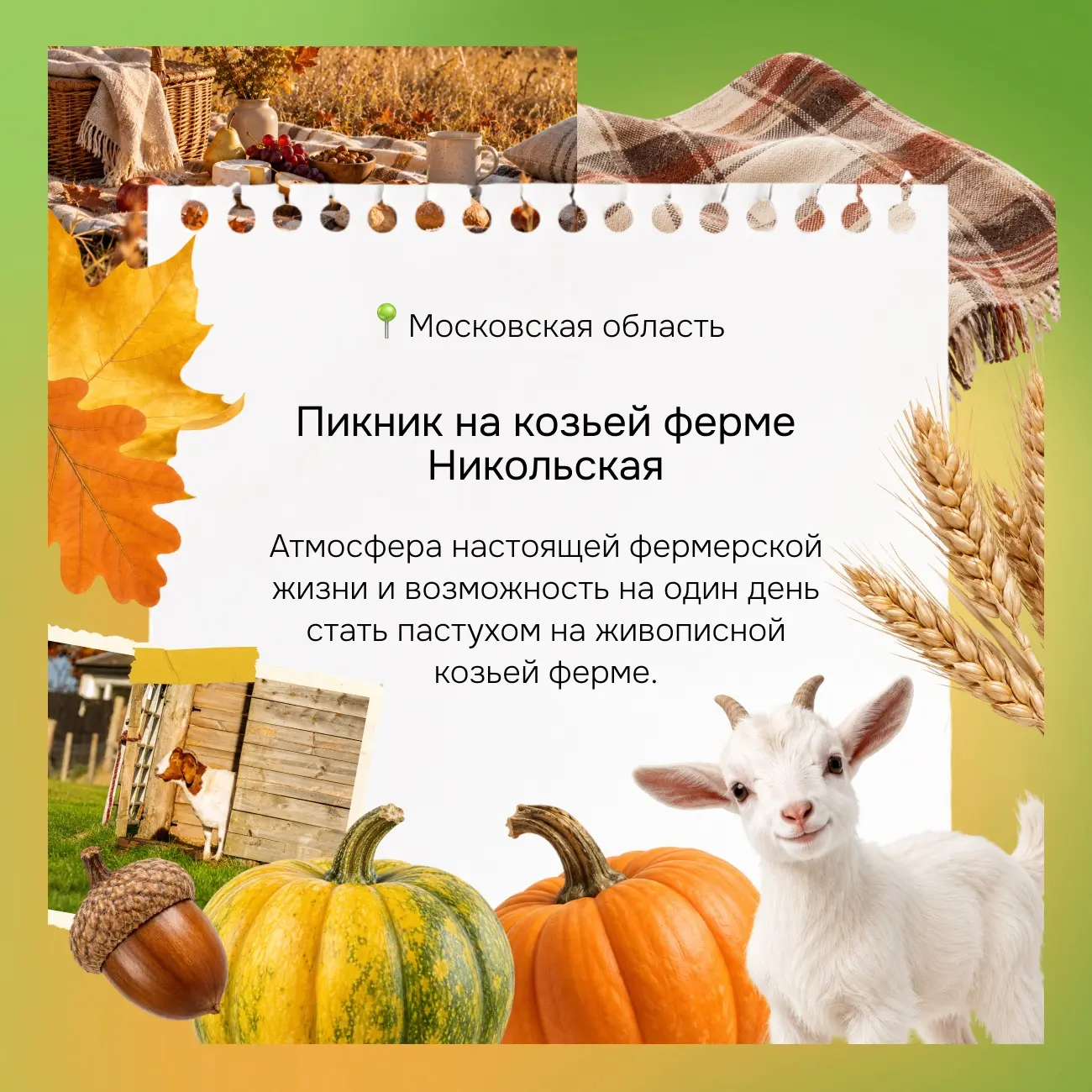 Идея: провести осенние выходные за городом 🍂
