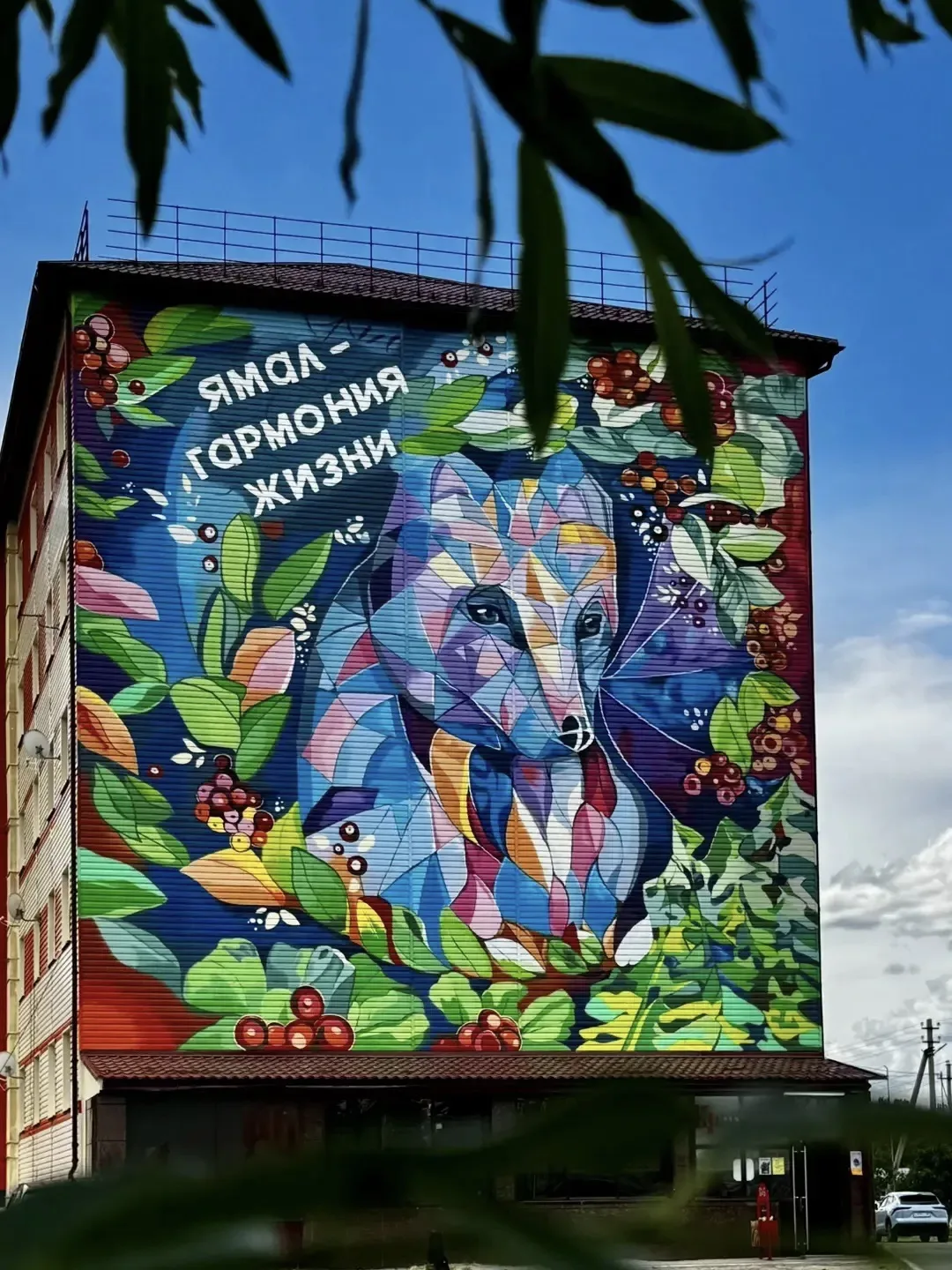 Губкинцы, хорошего вам дня и отличного настроения! Узнали, где изображен новый мурал? 

🎨 Автор рис