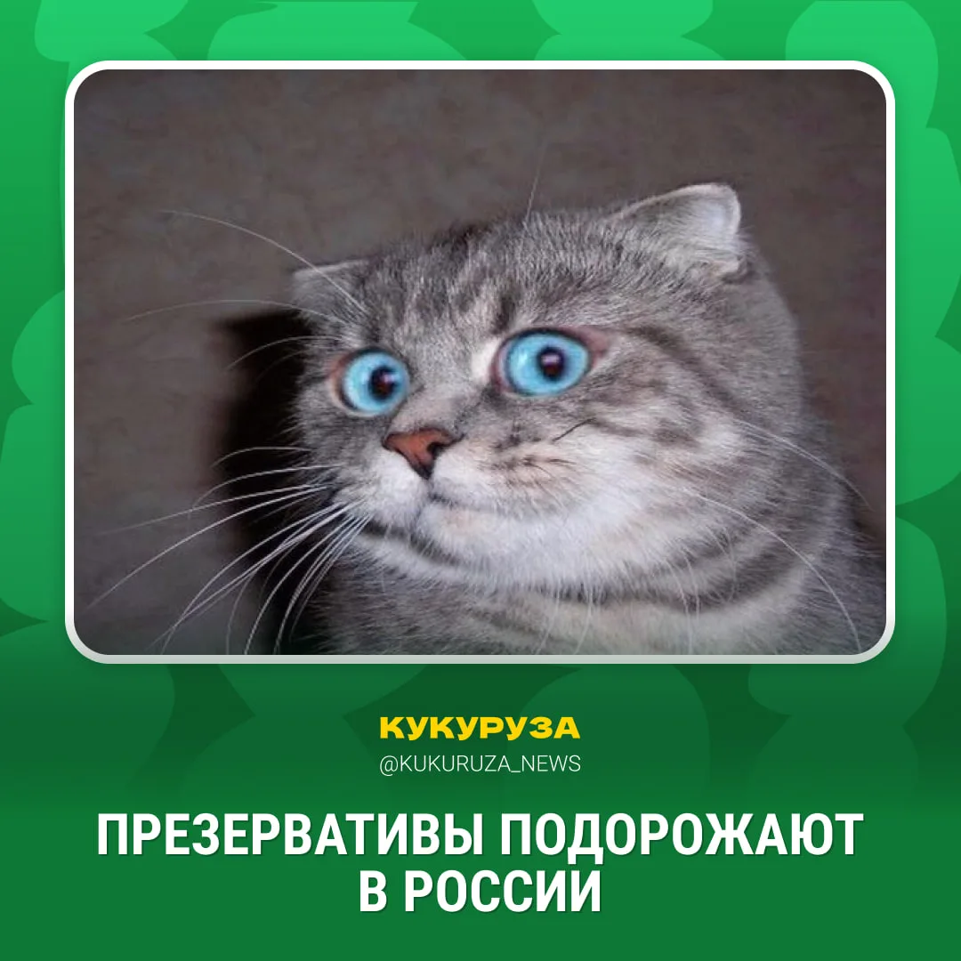 Внезапное подорожание.   Презики взлетят в цене примерно на 13% из-за закрытия Ормузского пролива. Т