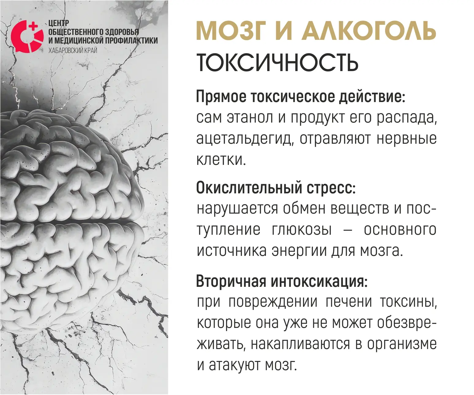 🧠 «Мозг в опасности»

🤯 Вы знали, что даже умеренное употребление алкоголя может привести к необра