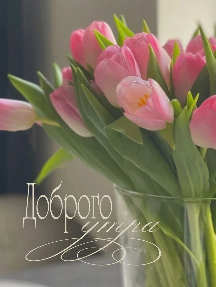 Делитесь открыткой с друзьями и поддерживайте реакцией 😍

Твои открытки - подписаться