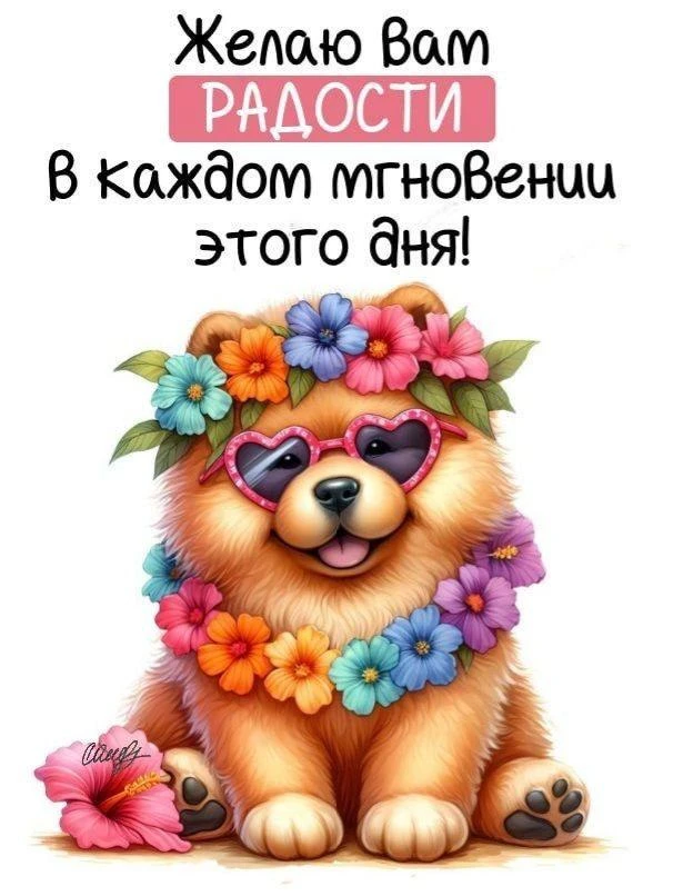 @pozdraf