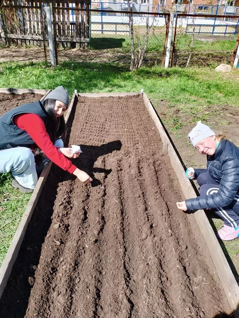 🥒🥬Огород на участке реабилитационного Центра - одно  из условий осуществления экологи...