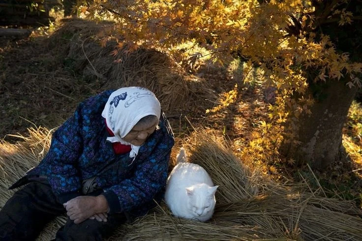 Однажды будет вам за сорок,