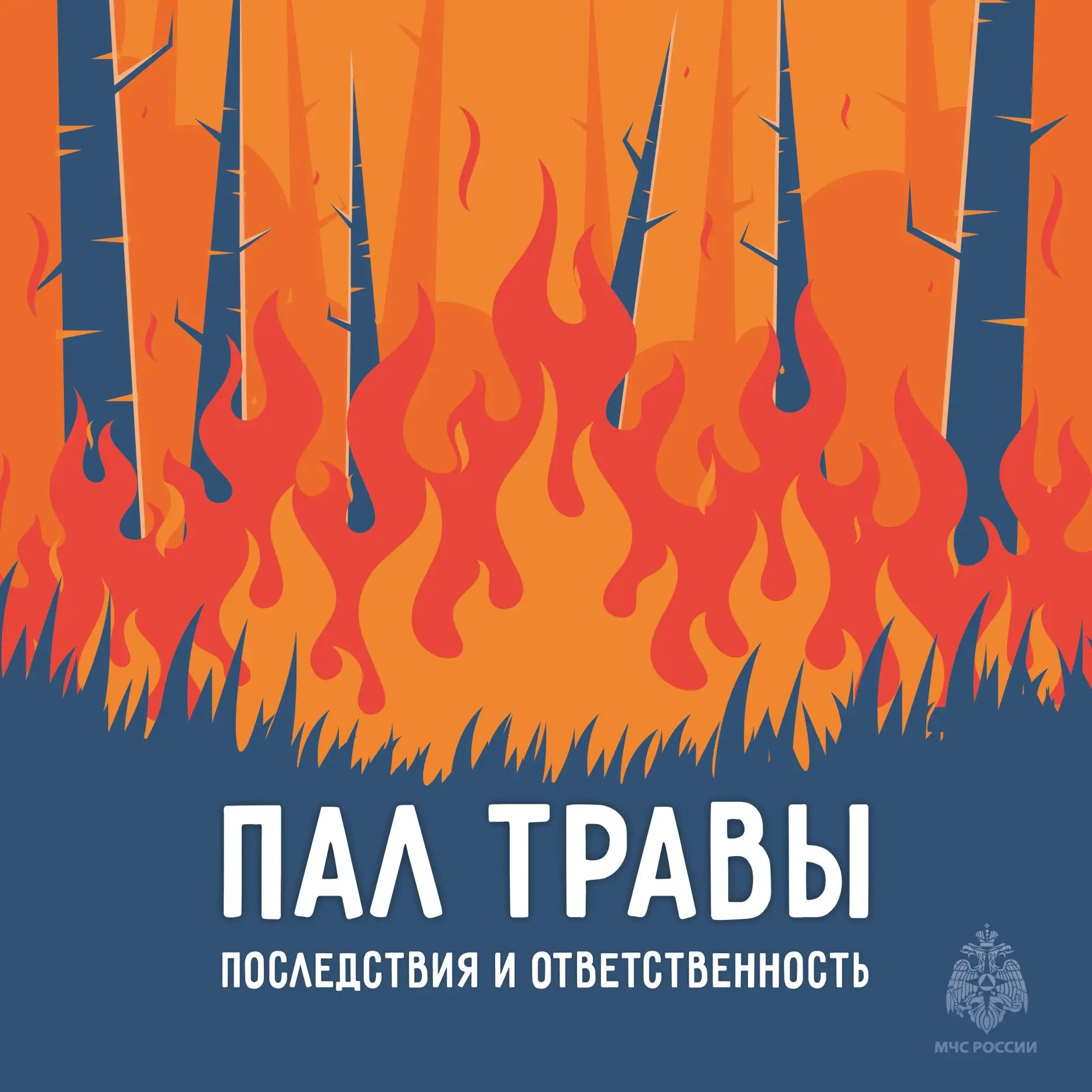 Пал травы: последствия и ответственность